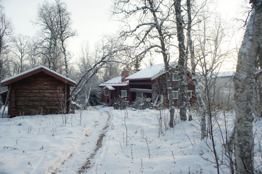 tänndalen